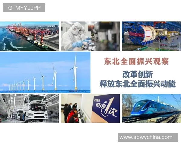 中国经济稳中有进改革创新驱动增长潜力持续释放