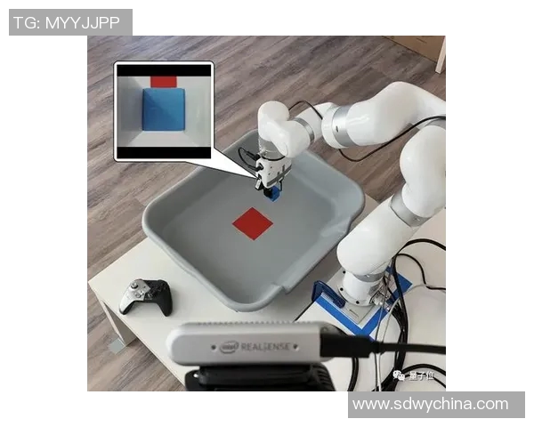 基于科学原理的高效训练方法与实践技巧探索