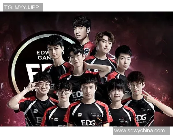 深度解析EDG战队团队协作模式与其他战队的对比分析