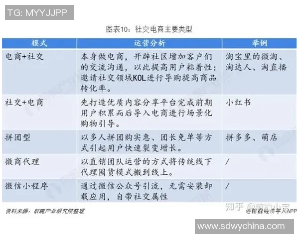 南京排球队运营解析：从管理模式到市场推广的全景观察