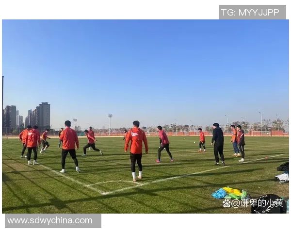 武汉足球队的精神探索与发展之路：从历史到未来的全景解读