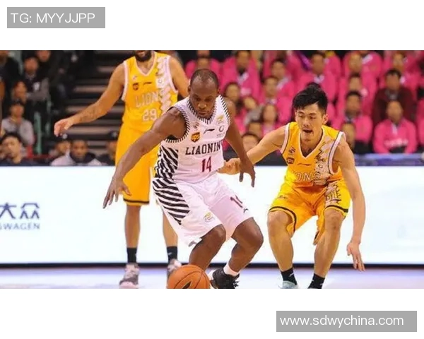 独家解析：杭州网球队速度优势与对手的全面对比分析