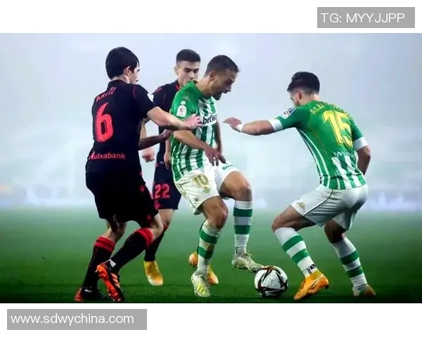 瑞典德甲足球队简介及与德国德甲的关系