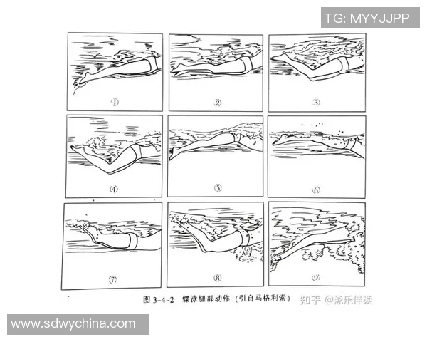 蝶泳技术解析与训练方法探讨 让你轻松突破游泳极限