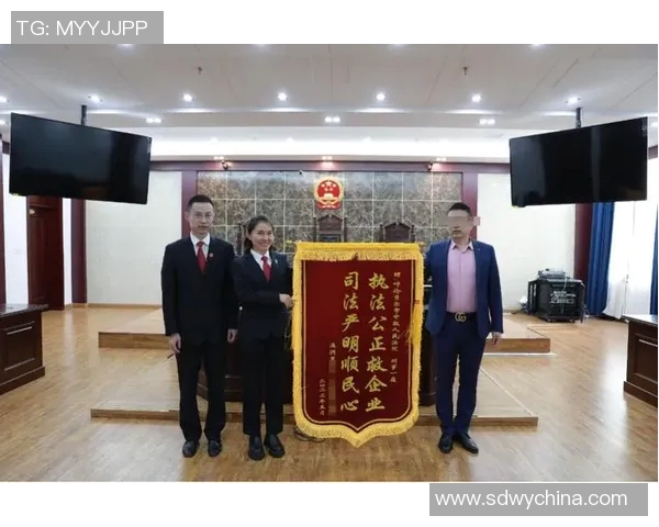 法律视角下的社会治理创新与司法公正发展路径研究