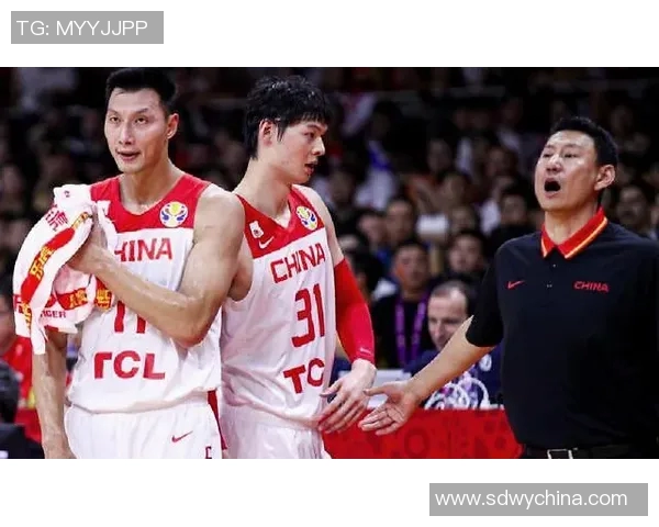 南京篮球队进攻策略分析与得失评估全面解读