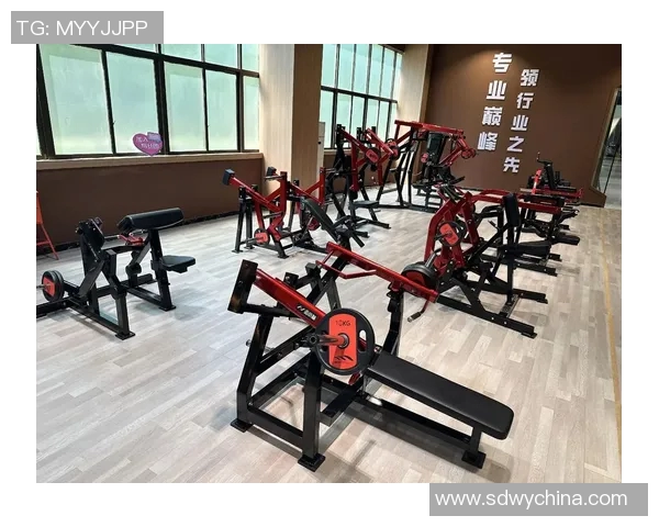 迈宝赫健身器材价格分析：如何选择性价比高的器材？